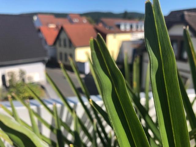 Ferienwohnung Wohnen beim Brotsommelier Darmstadt Exterior foto